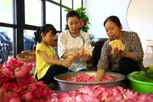 Nghề làm trà sen ở Tây Hồ (Hà Nội) là di sản phi vật thể quốc gia 