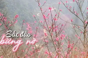 Lạng Sơn mở hội hoa đào vùng biên viễn