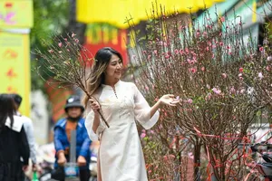 Rộn ràng chợ hoa xuân phố cổ Hà Nội