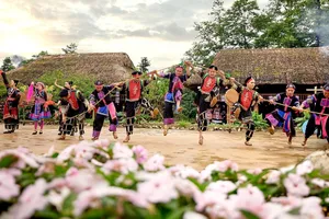 Phong vị tết Việt rộn ràng từ núi cao đến biển xanh