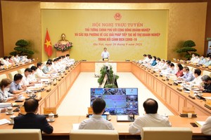 政府總理范明政主持有關為企業紓困的視像會議。