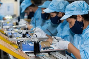 私營經濟乃經濟體的重要推動力。