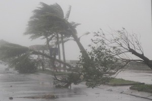 出現颱風與熱帶旋風危機增一倍