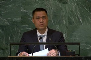 越南常駐聯合國代表團團長鄧黃江大使。