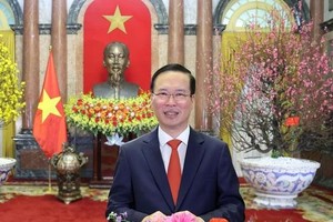 国家主席武文赏贺新年。