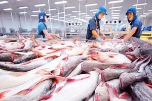 越南查鱼产品不存在倾销