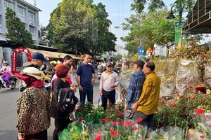 市旅游厅、第八郡人委会与各单位配合从商贩那里购买鲜花送给民众欢度春节。