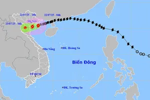 受3号台风影响，多地出现特大暴雨