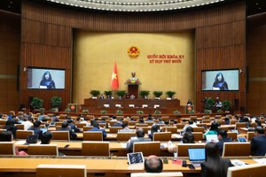 年营业收入低于5亿元的经营户无需缴纳个人所得税 