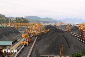 越南煤炭矿产工业集团（TKV）下属单位—广宁翁门选煤公司的生产经营活动。