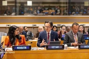 越南常驻联合国团团长杜雄越大使（中）在座谈会上发言。