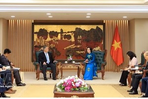 越南政府副总理范氏清茶会见由史蒂芬·马克斯纳博士率领的正在访问越南的山姆·约翰逊中心代表团。图：越通社