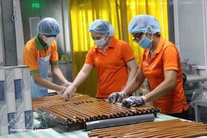 永隆省桥棋（Cầu Kè）椰蓉加工有限公司工人正在加工椰蓉产品。图自越通社