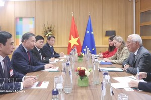 越共中央总书记、国家主席苏林与欧洲理事会主席科斯塔举行会谈 图自越通社