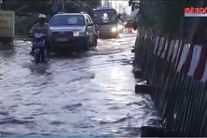 西贡河水位快速上涨，警惕内涝风险