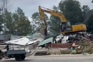  Phú Quốc: Cưỡng chế hàng chục ngàn mét vuông đất lấn chiếm rừng quốc gia