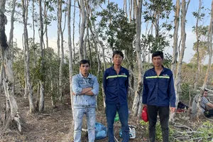 3 đối tượng phá hơn 2.000m² đất rừng Phú Quốc