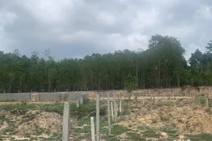 Vụ lấn chiếm đất rừng, vẽ “dự án ma” khủng ở Phú Quốc: Đề nghị khai trừ Đảng một nguyên bí thư, chủ tịch xã 