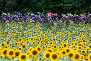 Tour de France Femmes là cuộc đua Tour de France dành cho nữ