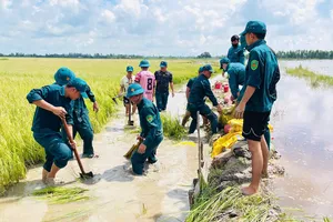 Lũ ở Đồng Tháp Mười: Hỗ trợ người dân "cứu" lúa, rau màu ngập úng