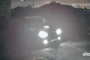 Camera ghi lại ô tô gắn biển số giả trộm chó