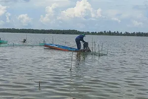 Nước trên ruộng còn cao nên hàng ngàn ha lúa tại vùng Đồng Tháp Mười (tỉnh Tây Ninh) chưa thể gieo sạ