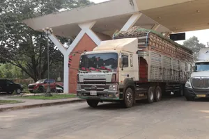 Xe chở khoai mì thông quan tại Cửa khẩu quốc tế Xa Mát, chiều 31-1. Ảnh: MINH DƯƠNG