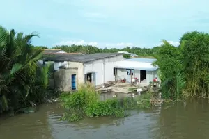 Một điểm có nguy cơ sạt lở nguy hiểm tại bờ sông Cần Đước, xã Tân Lân, tỉnh Tây Ninh