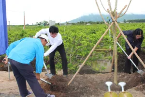 Bí thư Tỉnh ủy Tây Ninh Nguyễn Văn Quyết và các đại biểu trồng cây lưu niệm tại lễ phát động