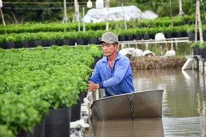 Nông dân làng hoa Sa Đéc chèo xuồng chăm sóc hoa