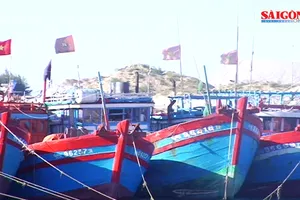 Quảng Ngãi: 70 tỷ đồng hỗ trợ tàu cá đánh bắt vùng biển xa