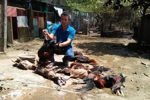 Bể đường ống khí Amoniac (NH3) ở trạm chiết gas, 4 người nhập viện