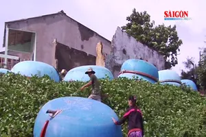 Quảng Ngãi: Người dân làng chài Lệ Thủy thấp thỏm trong mùa mưa bão