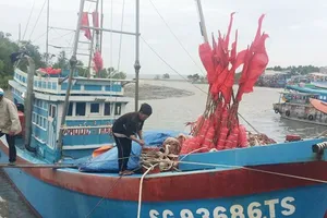 Huyện Cần Giờ sẵn sàng ứng phó với bão Tembin