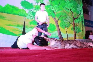 Huấn luyện xiếc thú – Trong niềm vui có cả nước mắt…