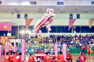 舞龙舞狮广受群众喜爱。