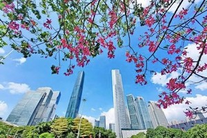 广州行记—秋日里的花城盛情