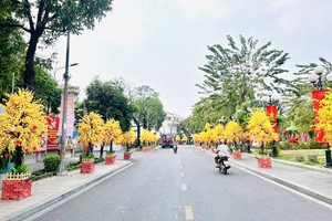 “高文楼黄梅花街”增添春节气氛。