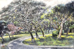 美化环境。陆金/画
