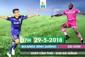 Infographic: HỮU VI