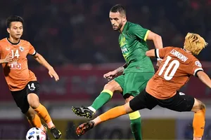 Giải đấu danh giá nhất khu vực châu Á đang bị ảnh hưởng bởi Covid-19. Ảnh: AFC