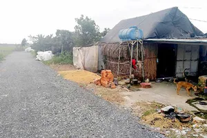 Trên 50 cán bộ công chức huyện Hóc Môn bị kỷ luật vì sai phạm trong lĩnh vực đất đai, xây dựng