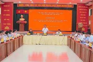 Đồng chí Huỳnh Thanh Nhân phát biểu chỉ đạo tại buổi giám sát. QUANG HUY