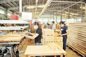 Production of MDF products at a local company. (Photo: SGGP)