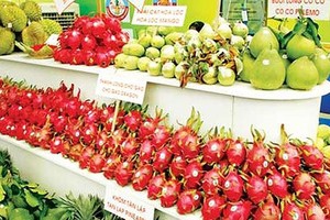 Several products exported to Japan see slumps in turnover