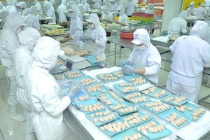 Food processing industry sees the highest number of enterprises shifting investment. (Photo: SGGP)