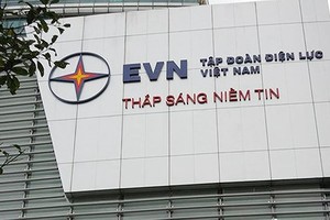 EVN successfully sells nearly 87 percent of its stake in EVF