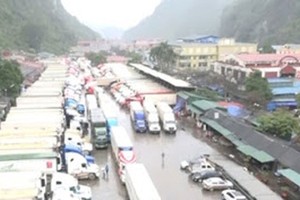 500 trucks carrying fruits crammed in Lang Son Province