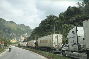 Container trucks carrying farm produce line up to wait for customs clearance. (Photo: SGGP)