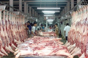 An important reason that made CPI strongly increase was a sharp decline in pork supply which caused prices of pork and pork products to jump heavily. (Photo: SGGP)
